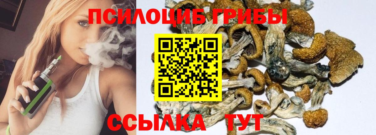 Галлюциногенные грибы Psilocybine cubensis Вязники